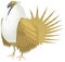 ruffed grouse bird vector illustration transparent background