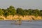 Rufiji river Tanzania