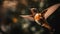 The rufous hummingbird hovers mid air, flapping wings generated by AI