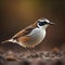 Rufous-throated Bunting, Emberiza rufescens. generative ai