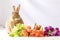 Rufus Easter Bunny Rabbit poses next to colorful tulips