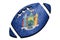 Rugby ball New York state flag. New York flag background Rugby b