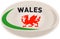 Rugby Ball with Welsh dragon