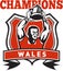 Rugby player champions cup Wales