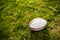 Rugby sports field with green grass for the game of rugby. Focus on ball, sports base at background.