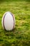 Rugby sports field with green grass for the game of rugby. Focus on ball, sports base at background.