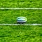 Rugby union ball lying on green grassy pitch with white lines