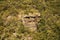 RUGGED CLIFF VISIBLE ON VEGETATION COVERED CANYON SIDE