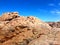 Rugged Coastal Geology, Yorke Peninsula