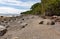 Rugged coastline of Sears Island in Maine