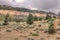 Rugged Country in Rural Wyoming during Summer