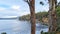 Rugged forested coast at Adventure Bay Bruny Island Tasmania