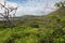 Rugged green landscape of Floreana