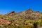 Rugged hillside in Arizona`s Sonoran desert, bright red earth, saguaro cacti, other succulents, deep blue sky.