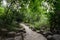 Rugged hillside footpath in shade on sunny summer day