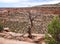 Rugged Landscape of Colorado National Monument