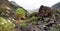 rugged landscape and vegetation in Tenerife