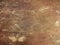 Rugged leather texture for background