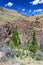 Rugged Mountain Scenery of Wyoming