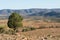 Rugged outback scenery surrounding the Wilpena Pound region of the Flinders Ranges