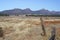 Rugged outback scenery surrounding the Wilpena Pound region of the Flinders Ranges