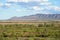 Rugged outback scenery surrounding the Wilpena Pound region of the Flinders Ranges