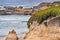 The rugged Pacific Ocean coastline on a cloudy day, Pescadero State Beach, California