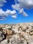 Rugged rocky arid limestone pavement terrain with vegetation in the cracks and blue sunlit sky with white clouds