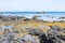 Rugged rocky coastline and view to horizon on east coast of Bay Of Plenty, New Zealand at Te Kaha