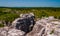 The rugged, rocky terrain of Bear Rocks, in Dolly Sods Wilderness, WV