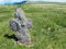 Rugged Stone Cross at St. Brendan`s Well Kerry