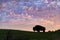 The Rugged Views of Bison in Theodore Roosevelt National Park