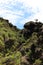 A rugged volcanic ridge in the Azores