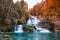 Rugged Waterfalls and River in Forest with Autumn Foliage