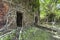 Ruin of abandoned building covered with roots on Ross Island. An