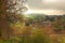 Ruin of Bolton Abbey.