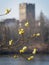 Ruin of Lichtenfels Castle in the Ottensteiner reservoir in the Waldviertel in spring