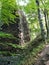 Ruin of a medieval castle in the middle of woods in czech republic