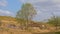 Ruin of an old house in the hills of the Spanish countryside on a suny day with soft clouds