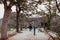 Ruin and remain of stone wall of Nakijin Gusuku castle remain, N