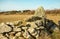 Ruin of stone wall in the middle of dune