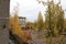 Ruined and abandoned building in Pripyat city, apocalyptic town near to Chernobyl power plant hit by nuclear disaster in