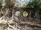 Ruined and abandoned structure on Ross Island having a prosperous history and a story to tell