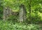 Ruined ancient stone house with collapsed walls overgrown with plants and ferns in dense green forest