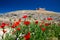 Ruined castle overlooks poppy field