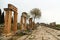 Ruined column of Hierapolis