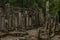 Ruined columns of Bayon temple in forest