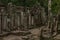 Ruined columns of Bayon temple in jungle