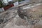 ruined foundation of an old building, the walls of the basement of a demolished building and debris