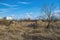 Ruined greenhouses stand on wasteland overgrown with grass